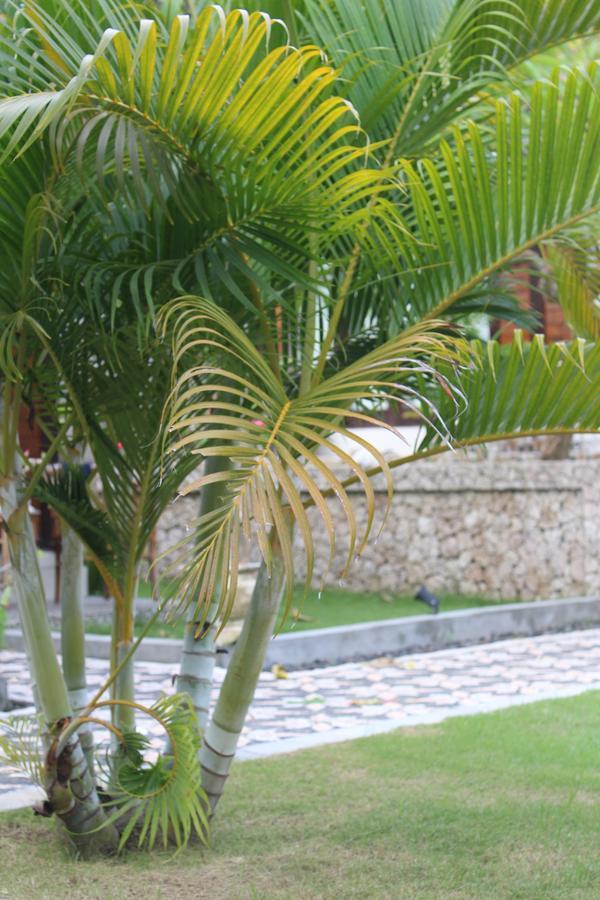 Gepah Garden Cottage Nusa Penida Eksteriør billede